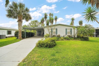 Sawgrass Lake Home For Sale in Leesburg Florida