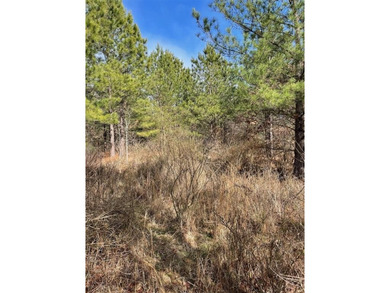 Broken Bow Lake Lot For Sale in Broken Bow Oklahoma