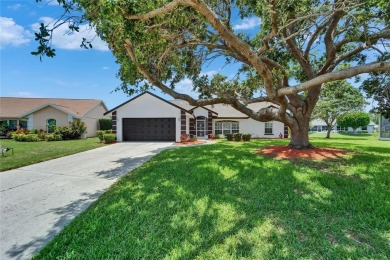 (private lake, pond, creek) Home Sale Pending in Bradenton Florida