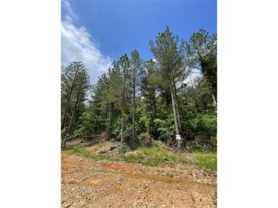 Broken Bow Lake Lot For Sale in Broken Bow Oklahoma