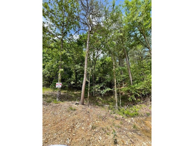 Broken Bow Lake Lot For Sale in Broken Bow Oklahoma