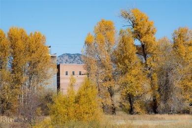 Largest remaining infill development site within close proximity - photo 12