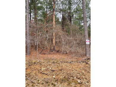 Broken Bow Lake Lot For Sale in Broken Bow Oklahoma