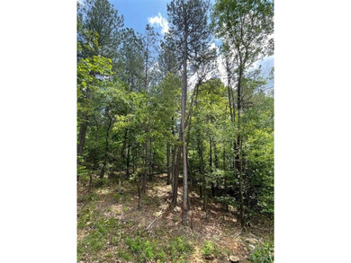 Broken Bow Lake Lot For Sale in Broken Bow Oklahoma
