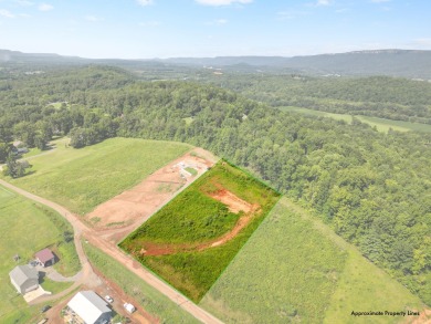 Lake Lot For Sale in Jasper, Tennessee