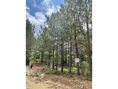 Broken Bow Lake Lot For Sale in Broken Bow Oklahoma