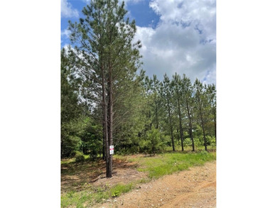 Broken Bow Lake Lot For Sale in Broken Bow Oklahoma