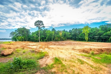 3+ acres of Prime Waterfront Property - photo 8