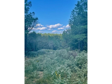 Broken Bow Lake Lot For Sale in Broken Bow Oklahoma