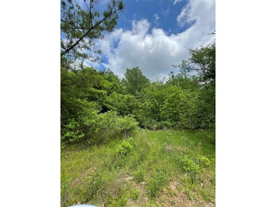 Broken Bow Lake Lot For Sale in Broken Bow Oklahoma