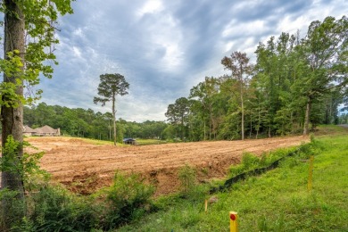 3+ acres of Prime Waterfront Property - photo 12