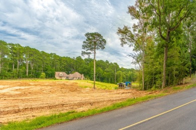 3+ acres of Prime Waterfront Property - photo 3