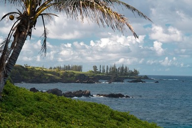 Escape to your own private paradise in the serene coastal town - photo 21