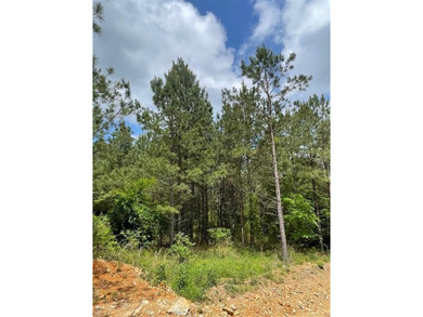 Broken Bow Lake Lot For Sale in Broken Bow Oklahoma
