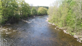 Salmon River - Oswego County Acreage For Sale in Pulaski New York