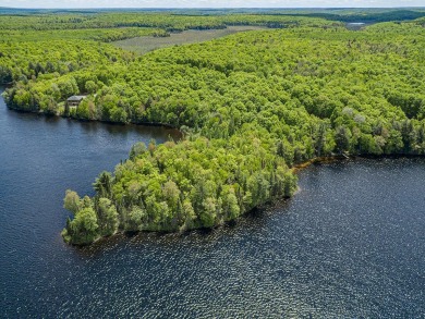 Homan Lake Acreage For Sale in Iron River Michigan