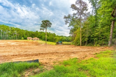 3+ acres of Prime Waterfront Property - photo 10