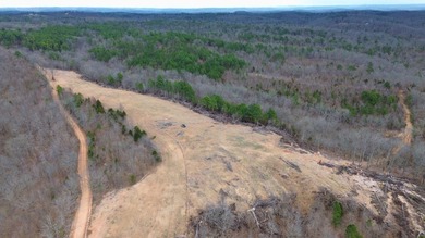 Hunting paradise with county road frontage! This incredible - photo 12