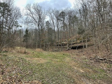 Hunting paradise with county road frontage! This incredible - photo 13