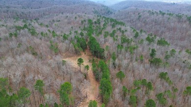 Hunting paradise with county road frontage! This incredible - photo 15