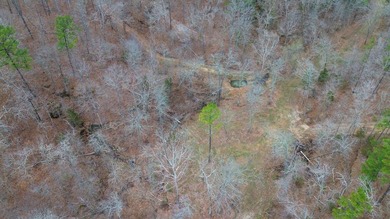 Hunting paradise with county road frontage! This incredible - photo 16