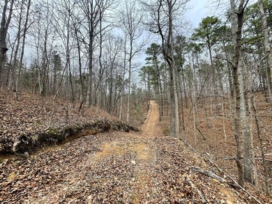 Hunting paradise with county road frontage! This incredible - photo 17