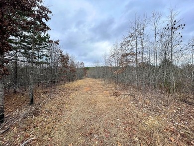 Hunting paradise with county road frontage! This incredible - photo 18