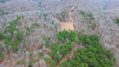 Hunting paradise with county road frontage! This incredible - photo 19