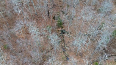 Hunting paradise with county road frontage! This incredible - photo 20