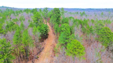 Hunting paradise with county road frontage! This incredible - photo 21