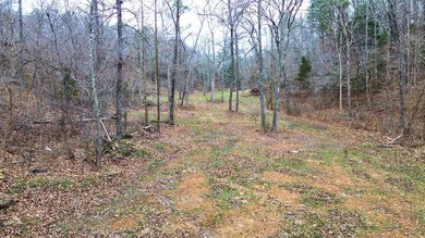 Hunting paradise with county road frontage! This incredible - photo 22