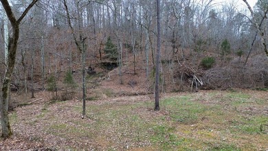 Hunting paradise with county road frontage! This incredible - photo 23
