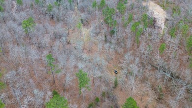 Hunting paradise with county road frontage! This incredible - photo 25