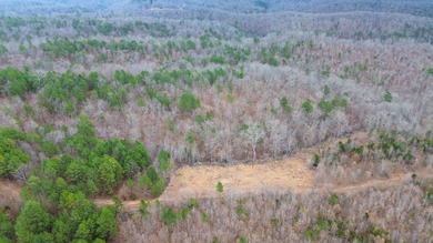 Hunting paradise with county road frontage! This incredible - photo 26