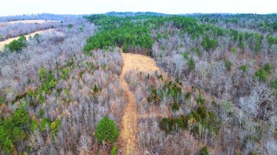 Hunting paradise with county road frontage! This incredible - photo 27