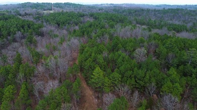 Hunting paradise with county road frontage! This incredible - photo 28