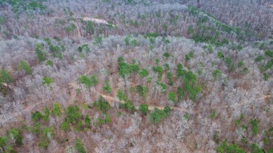 Hunting paradise with county road frontage! This incredible - photo 29