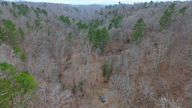Hunting paradise with county road frontage! This incredible - photo 30