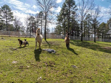 Don't miss this opportunity!! MOUNTAIN TOP HOME! Ranch style - photo 31