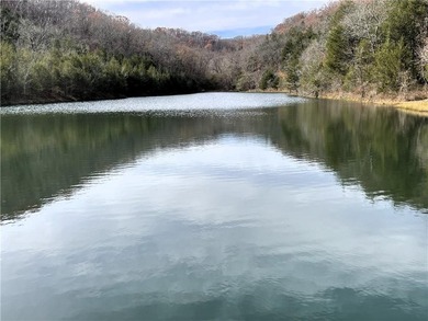 Table Rock Lake Condo For Sale in Reeds Spring Missouri