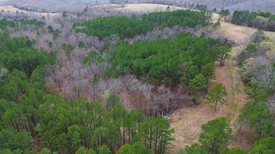 Hunting paradise with county road frontage! This incredible - photo 31