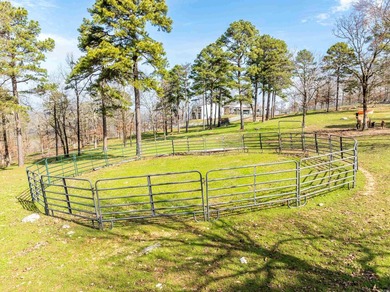 Don't miss this opportunity!! MOUNTAIN TOP HOME! Ranch style - photo 32