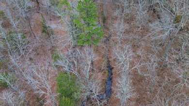 Hunting paradise with county road frontage! This incredible - photo 32