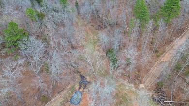 Hunting paradise with county road frontage! This incredible - photo 33
