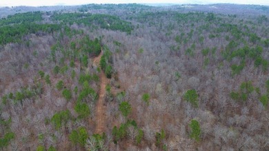 Hunting paradise with county road frontage! This incredible - photo 36