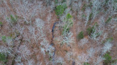 Hunting paradise with county road frontage! This incredible - photo 39