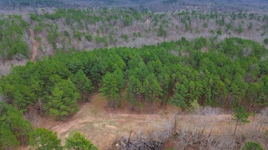 Hunting paradise with county road frontage! This incredible - photo 44