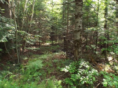 Pine Lake - Forest County Acreage For Sale in Hiles Wisconsin
