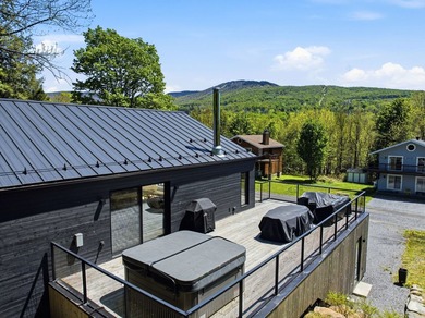 Sutton, vue sur les pistes. Elegant chalet construit en 2022 - photo 10