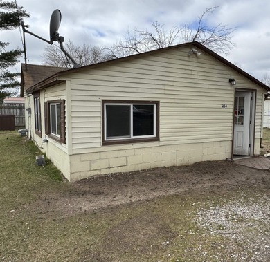 Wixom Lake Home For Sale in Beaverton Michigan